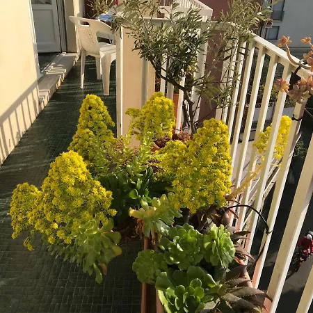 Magia Nel Golfo Del Tigullio 公寓 拉帕洛